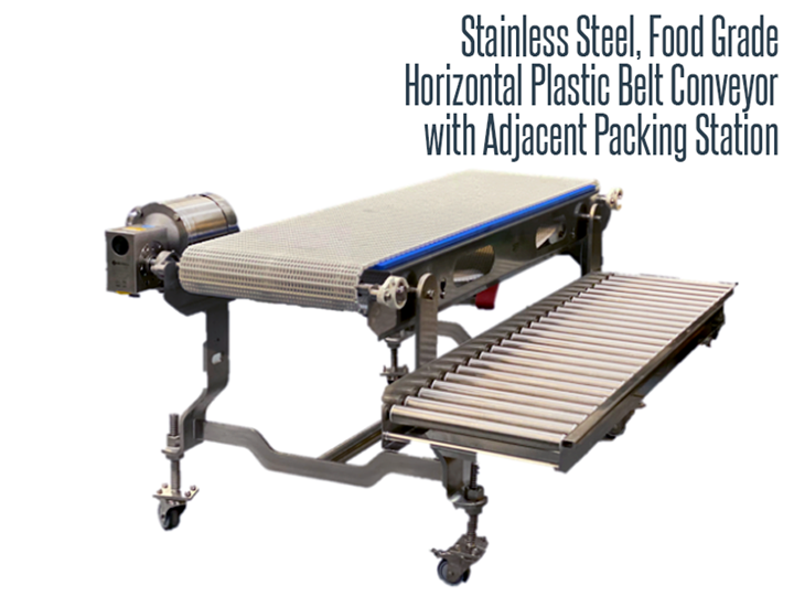 Food Grade Conveyor Systems  Technical Packaging Systems